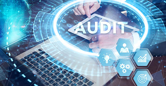 What are the typical steps in a DOL audit