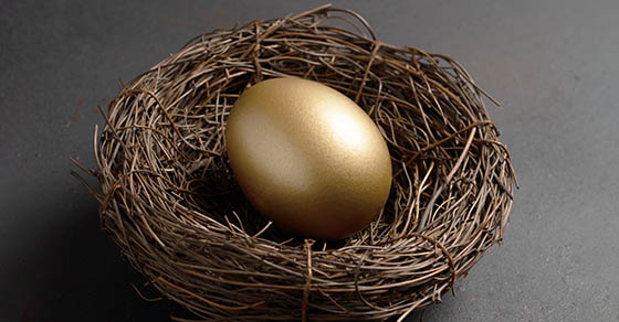 Golden egg resting in a nest
