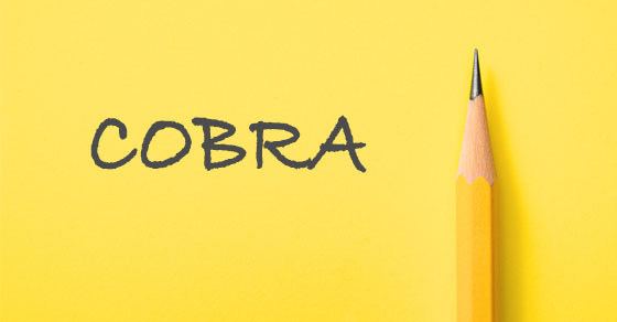 A yellow pencil lying vertically next to the word COBRA